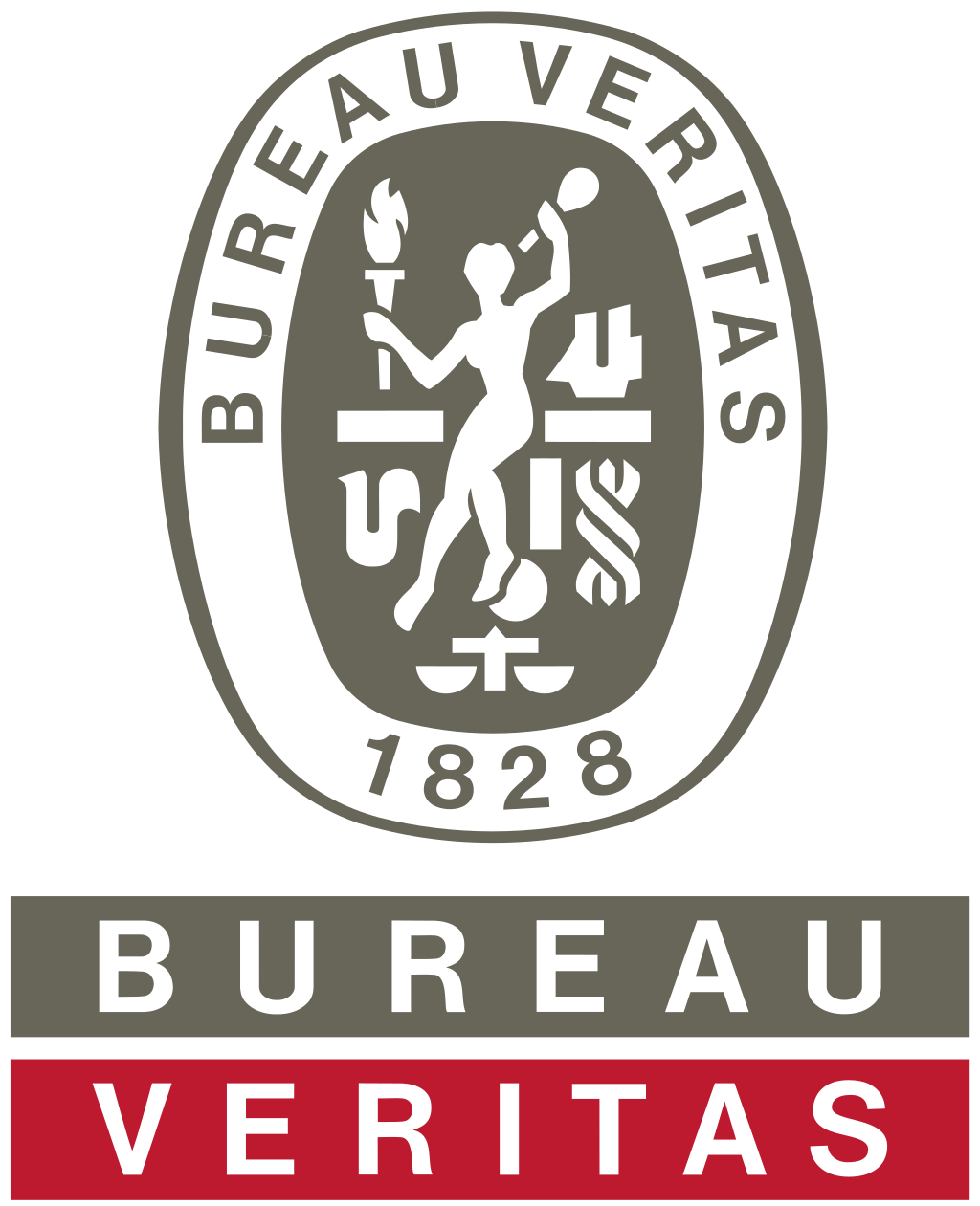 Bureau Veritas | Marine & Offshore International Register Logo